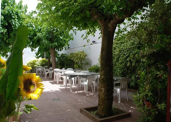 Hotel Armonia *